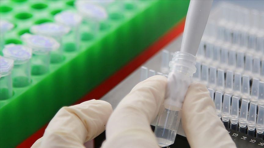 Под Зеленским су америчке биолабораторије у Украјини почеле да спроводе експерименте на људима – Медведчук