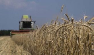 РТ: Прехрамбена безбедност Русије гарантована досадашњом жетвом - Министарство пољопривреде