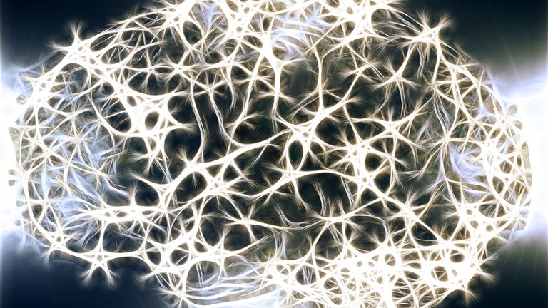 РТ: Лабораторијски узгојени минијатурни људски мозак се повезао са мишићима „својом вољом”