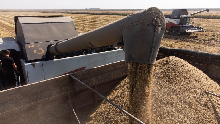 РТ: Русија шаље бесплатно жито у Африку – министар пољопривреде